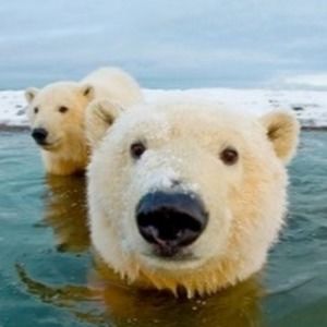 Meet your Posher, Scott